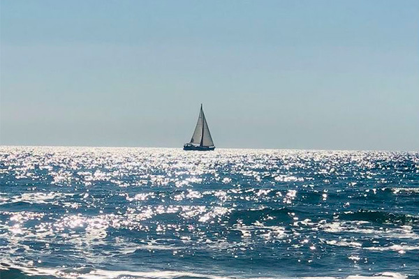 alto mar store - o mar está chamando