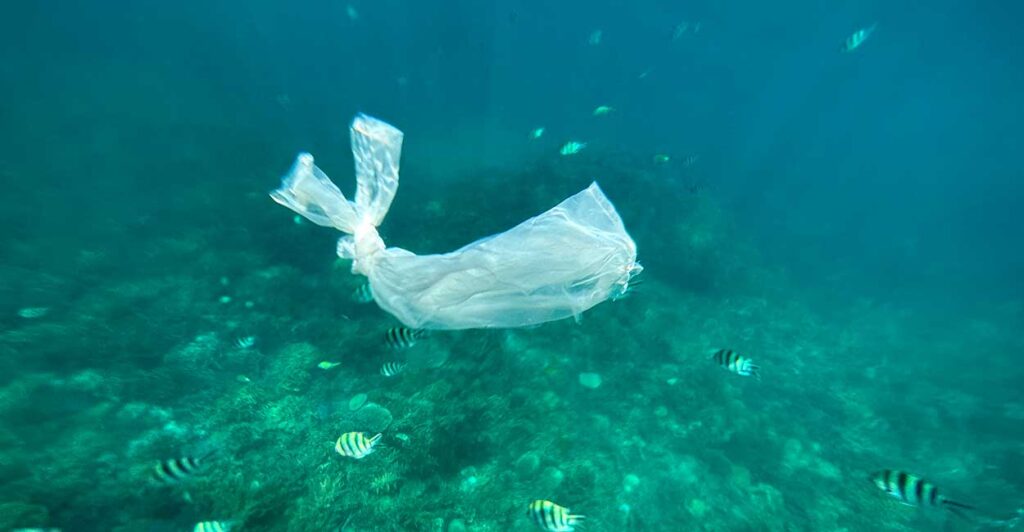 capa-85 lixo-plastico-oceanos-e-moda-sustentavel