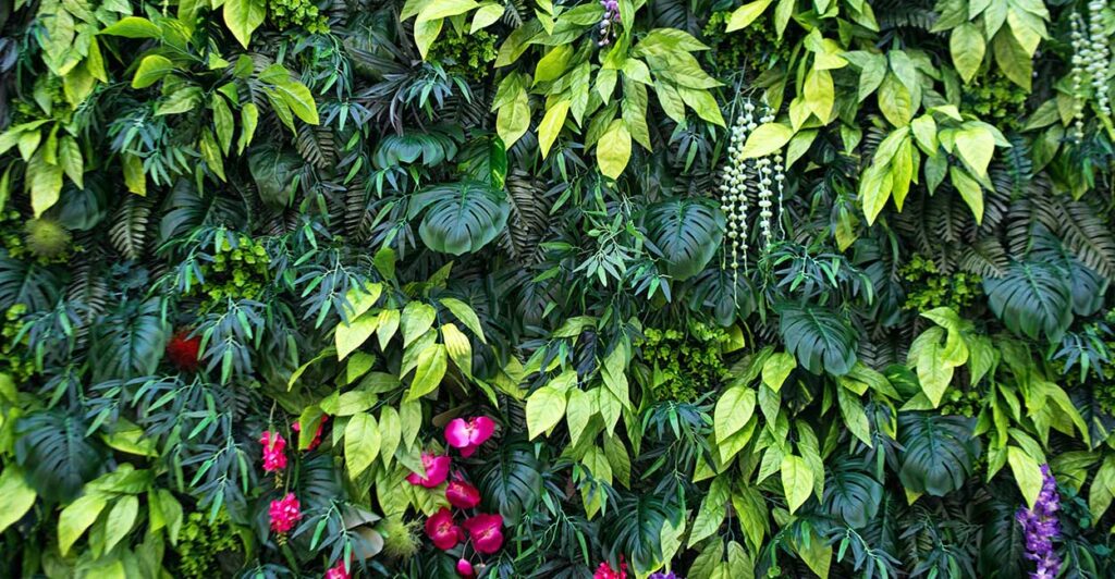 capa-200 como-montar-jardim-vertical-em-casa